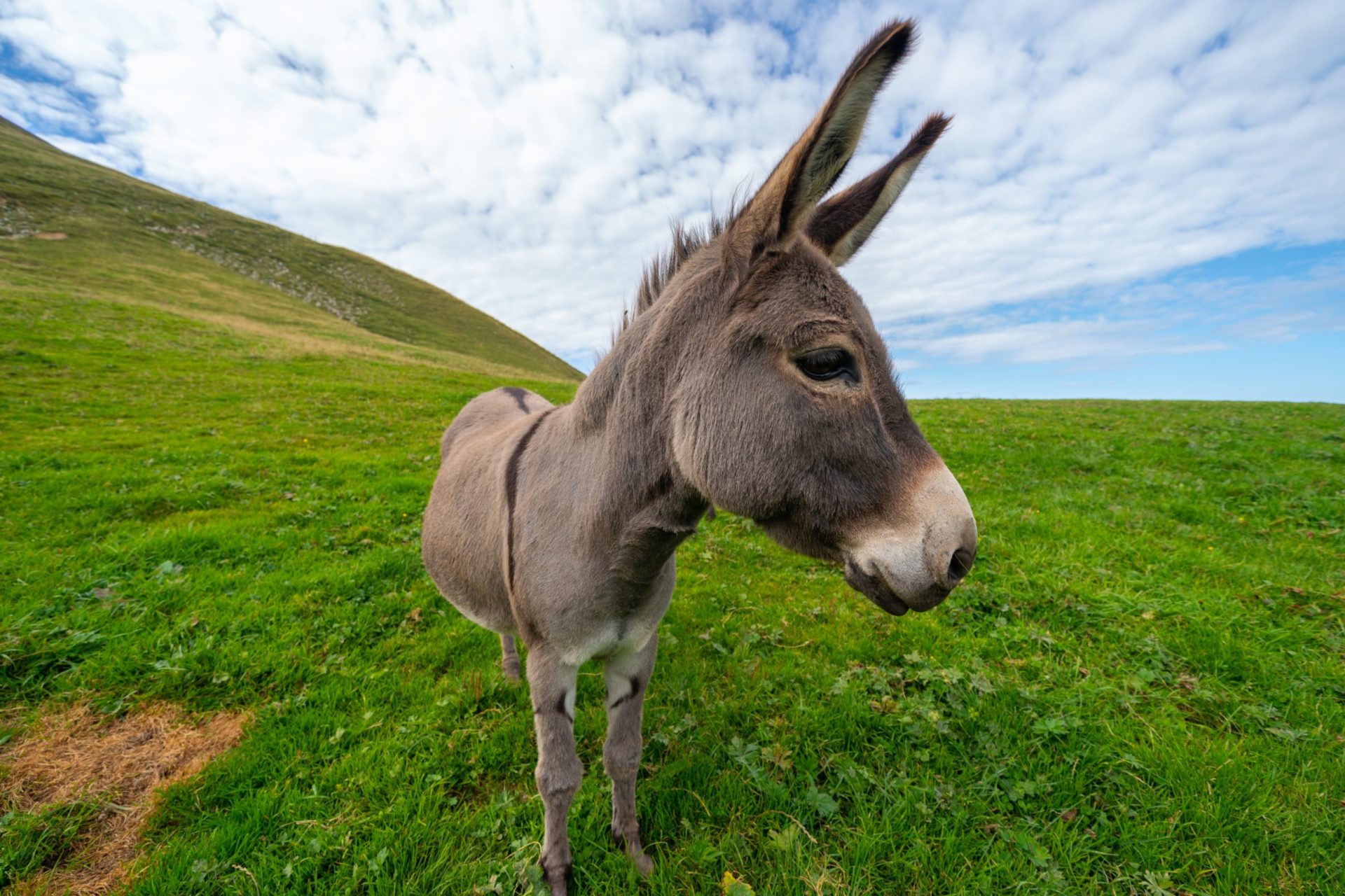 dimitri-photography-L7-ork5nKnk-unsplash
