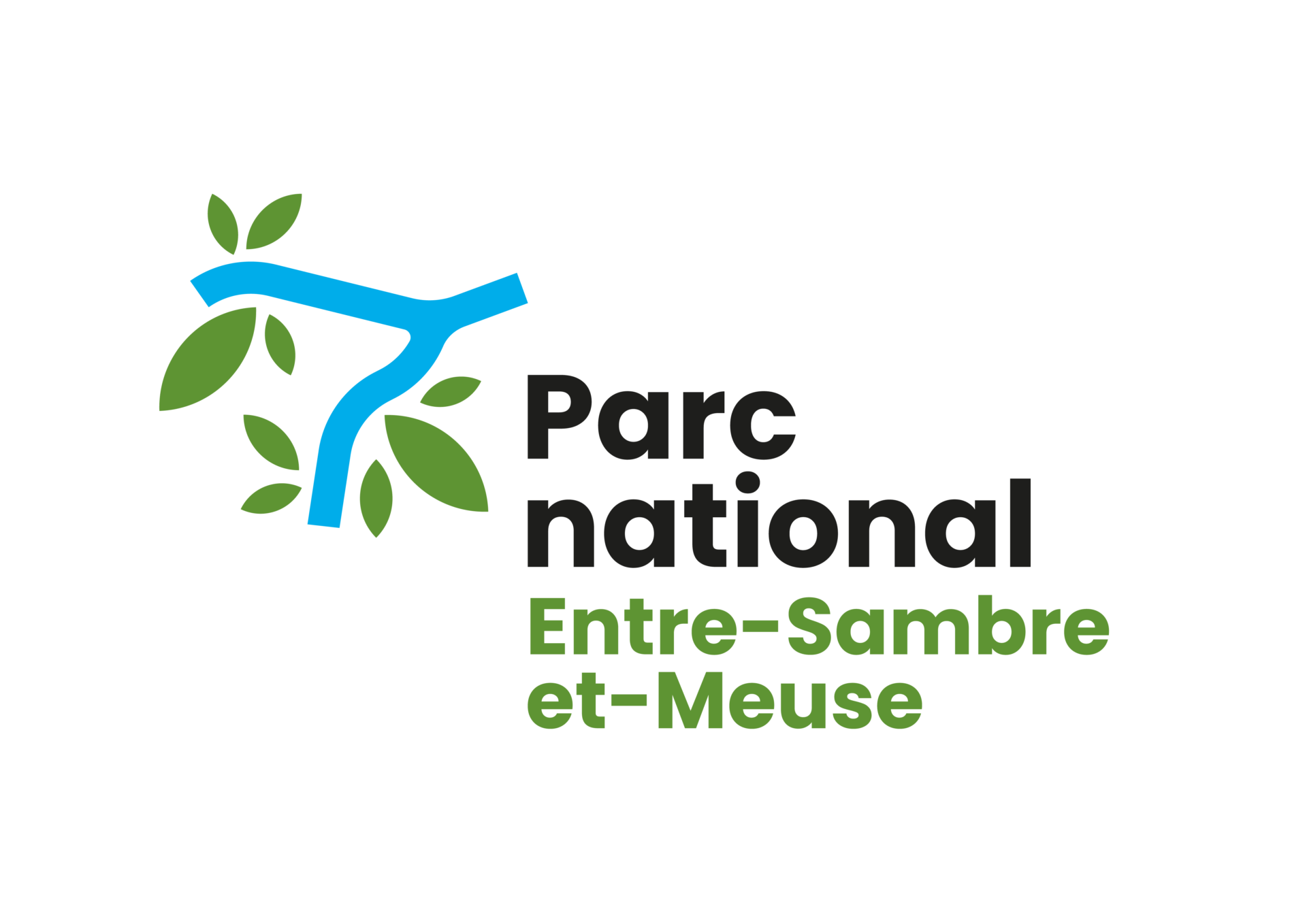 Bienvenue