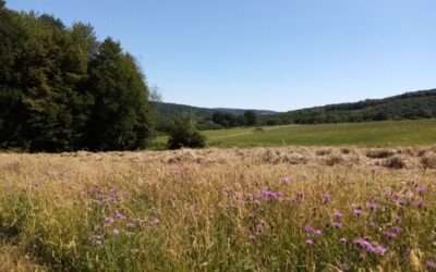 Donnez votre avis sur les actions du Parc national